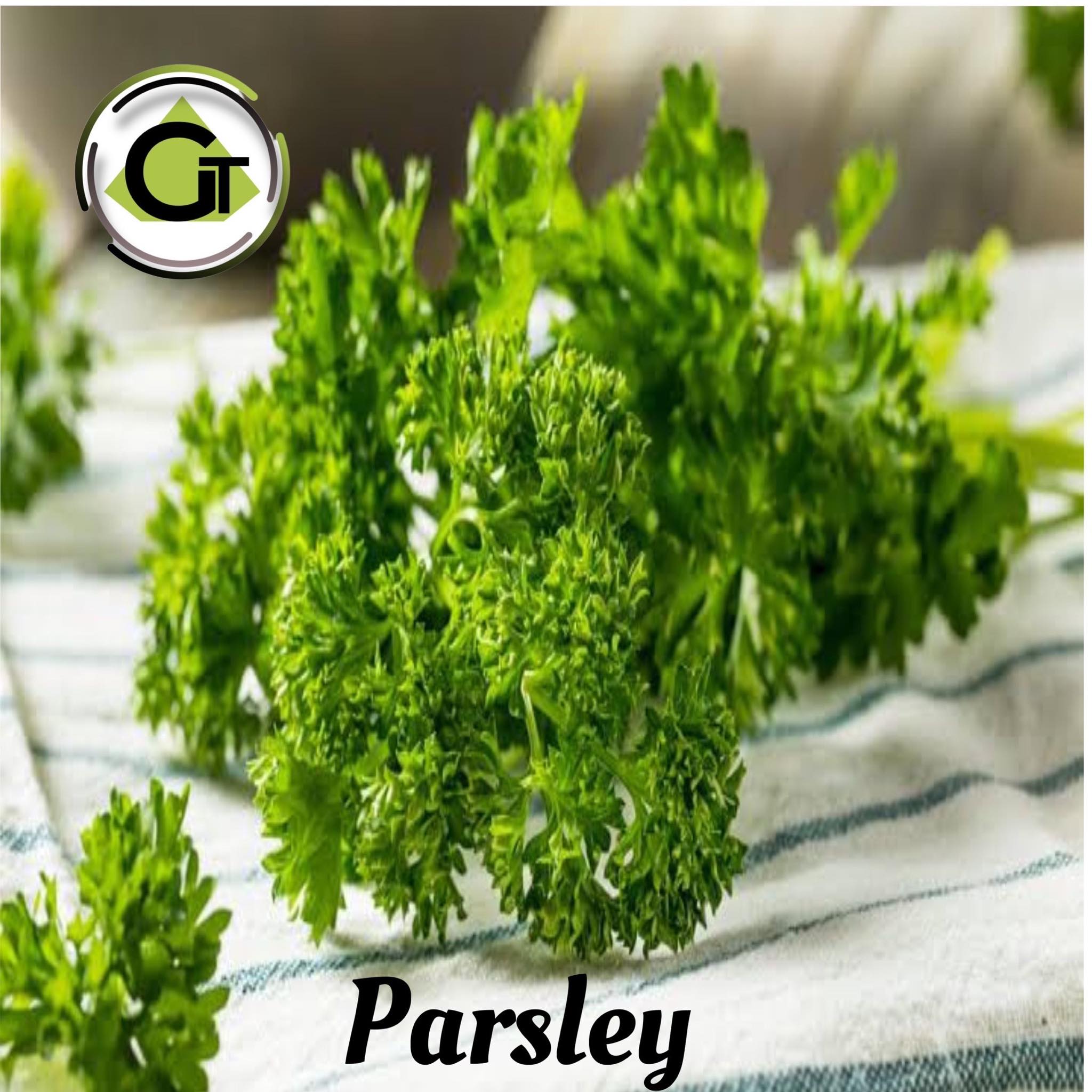 Parsley